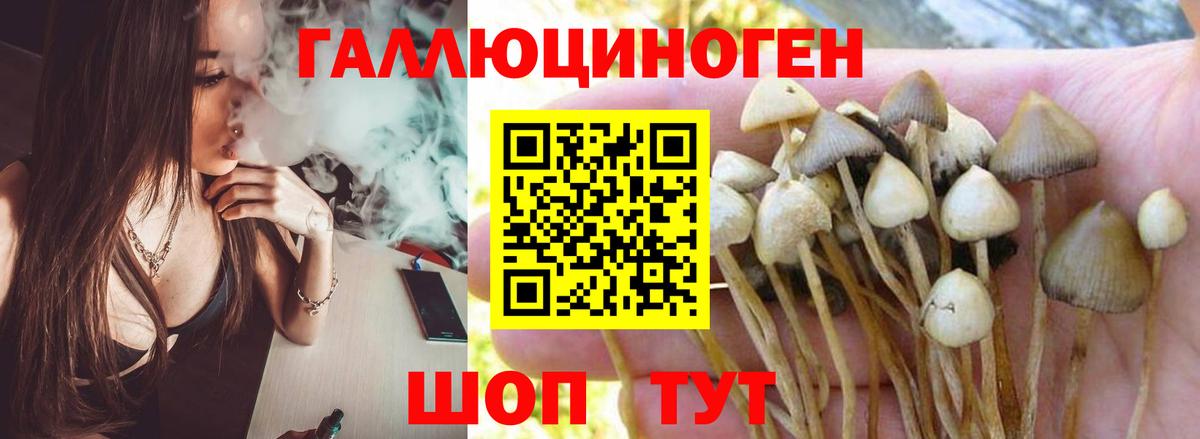 Галлюциногенные грибы мухоморы  Вход с VPN  Касимов  Псилоцибиновые грибы прущие грибы 